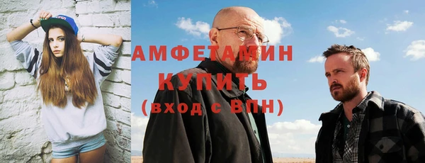 индика Абаза