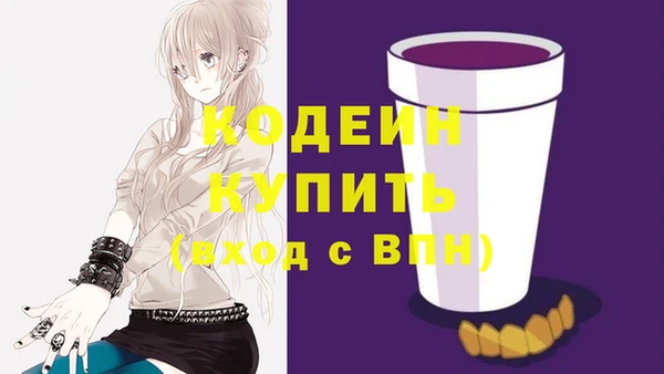 индика Абаза
