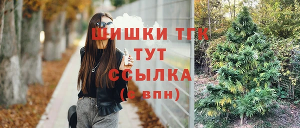 индика Абаза