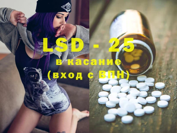 индика Абаза