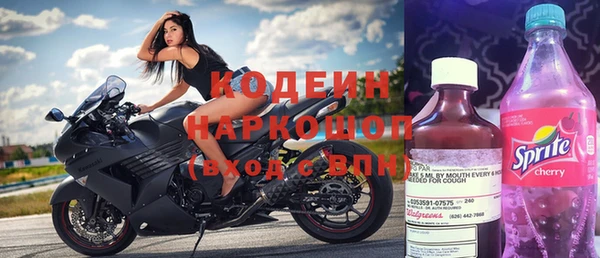 индика Абаза