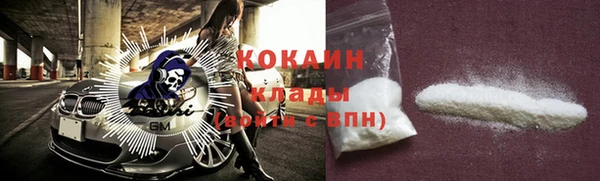 индика Абаза