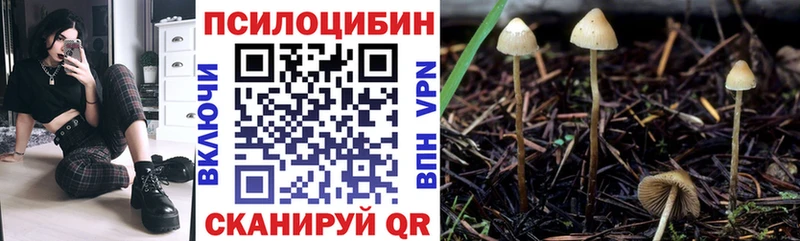 Галлюциногенные грибы MAGIC MUSHROOMS  darknet как зайти  Ялуторовск 